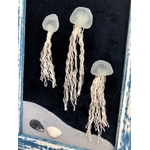 IMG_cadre bois leu blanc coquillages meduse verre de mer artisanal france landes6873