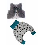 ensemble dino gris