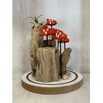 cloche deco poissons artisanal bois