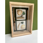cadre vitrine coquillages verre mer bois flotté