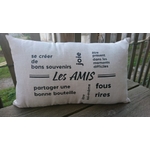 coussin amis (2)