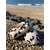 chausson bébé reversible gaze coton leopard bambou laine (3)