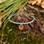 bracelet petale aiguille pin