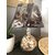 lampe chevet abat jour noir socle verre coquillages