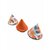 cones tipis pare pipi oiseaux orange gris