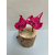 duo raies roses bois flotté landes artisanal