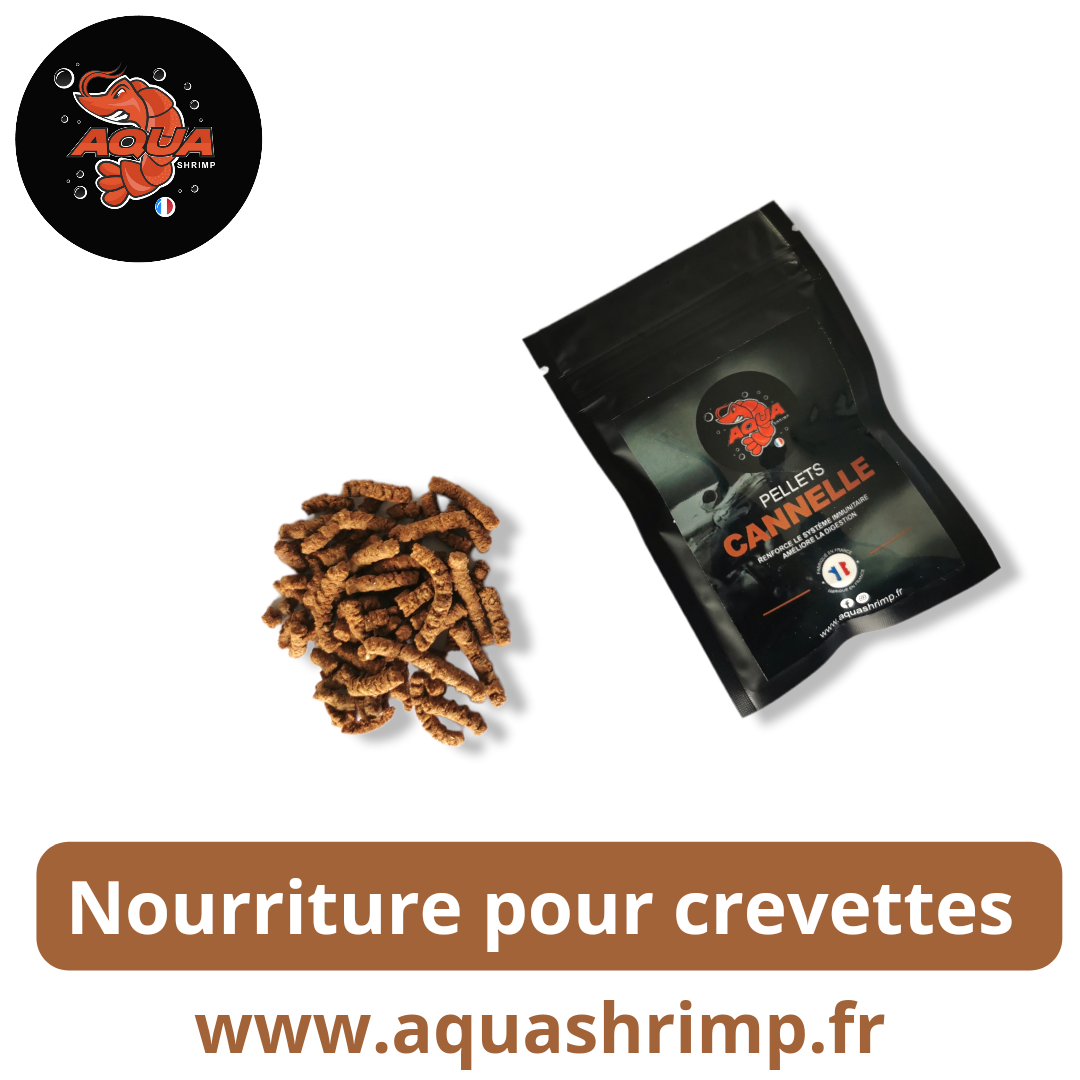 Kit Alimentation pour crevette d'aquarium/Lollies/granulés/Feuilles de  catappa