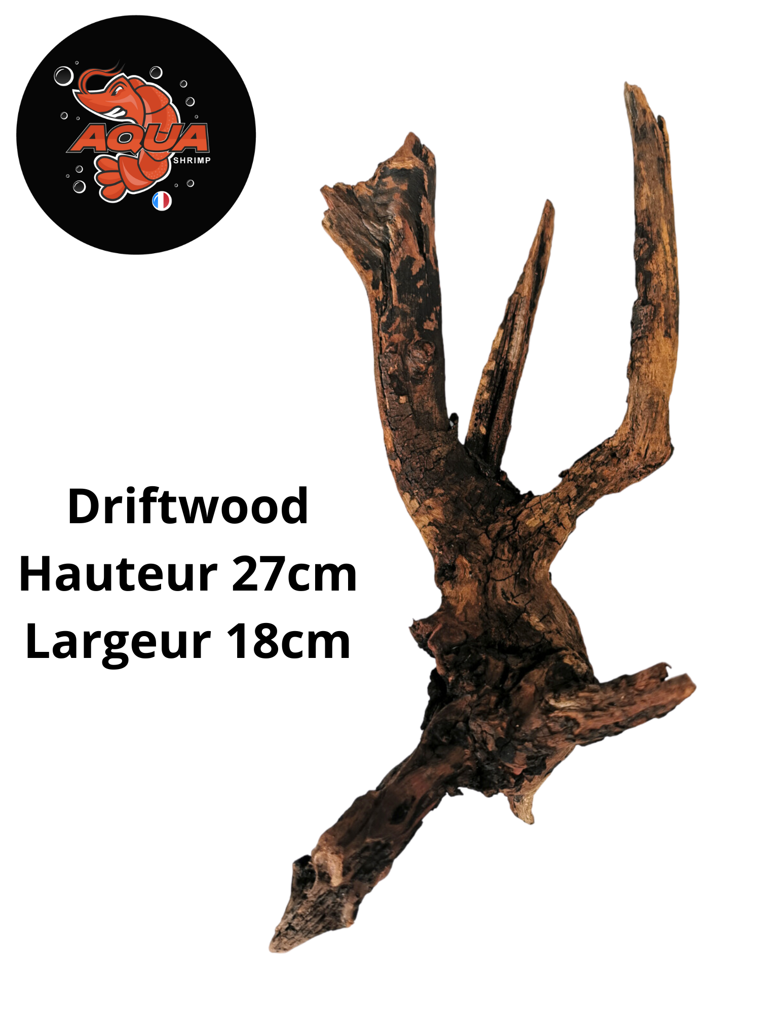 Driftwood Hauteur 35cm Largeur 15cm_20230825_191922_0000