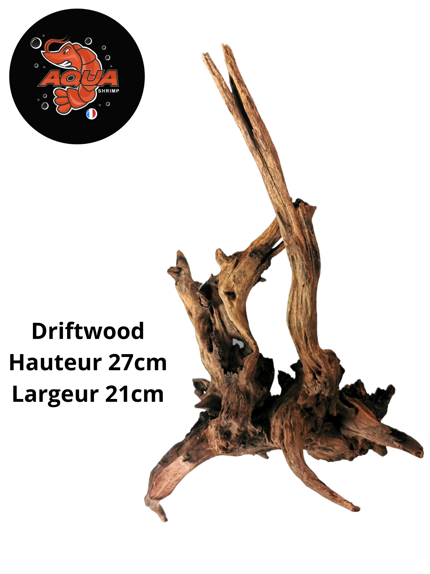 Driftwood Hauteur 35cm Largeur 15cm_20230829_163837_0000
