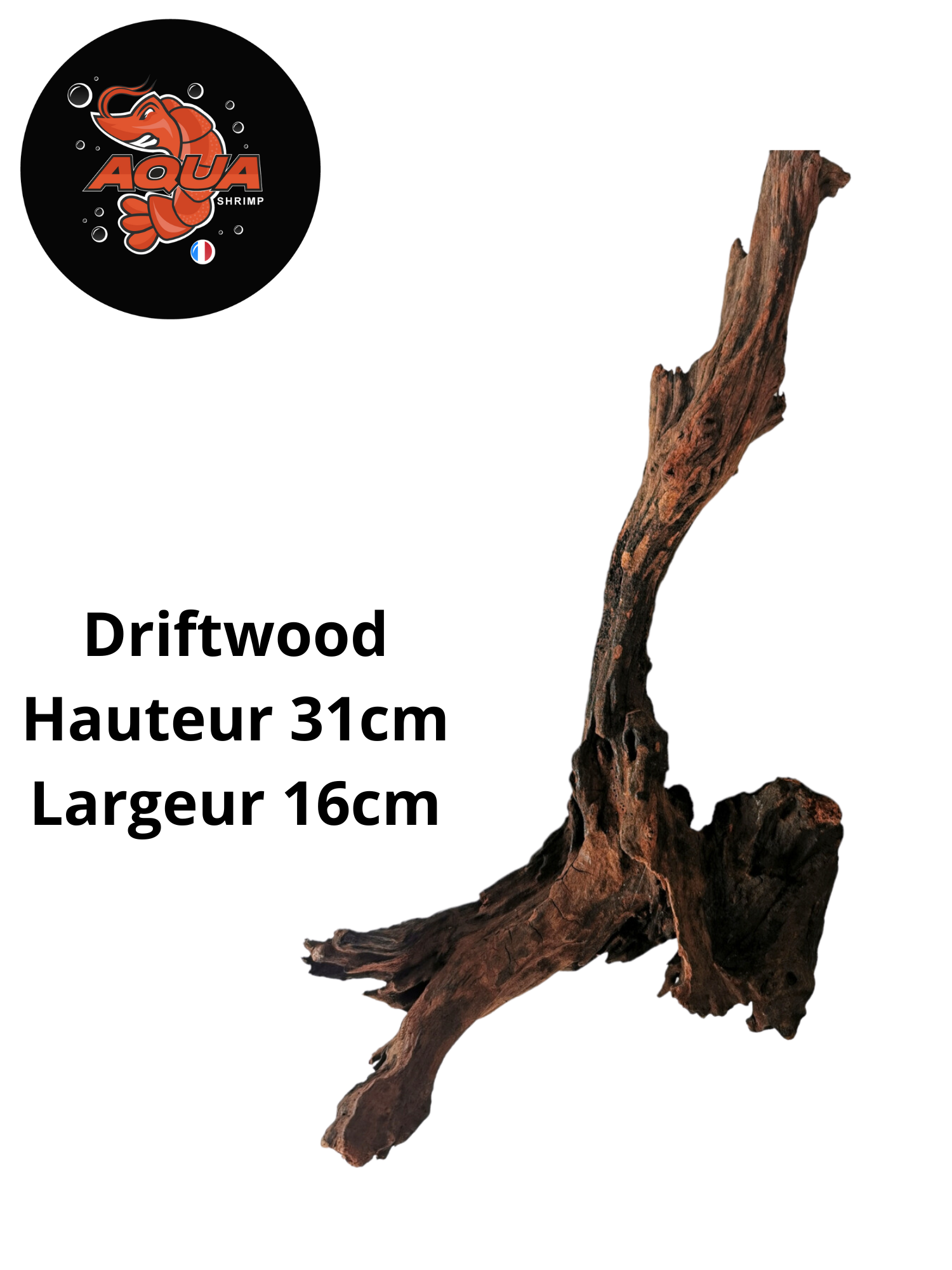 Driftwood Hauteur 35cm Largeur 15cm_20230829_163009_0000