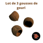 Gousse de gouri