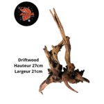 Driftwood Hauteur 35cm Largeur 15cm_20230829_163837_0000
