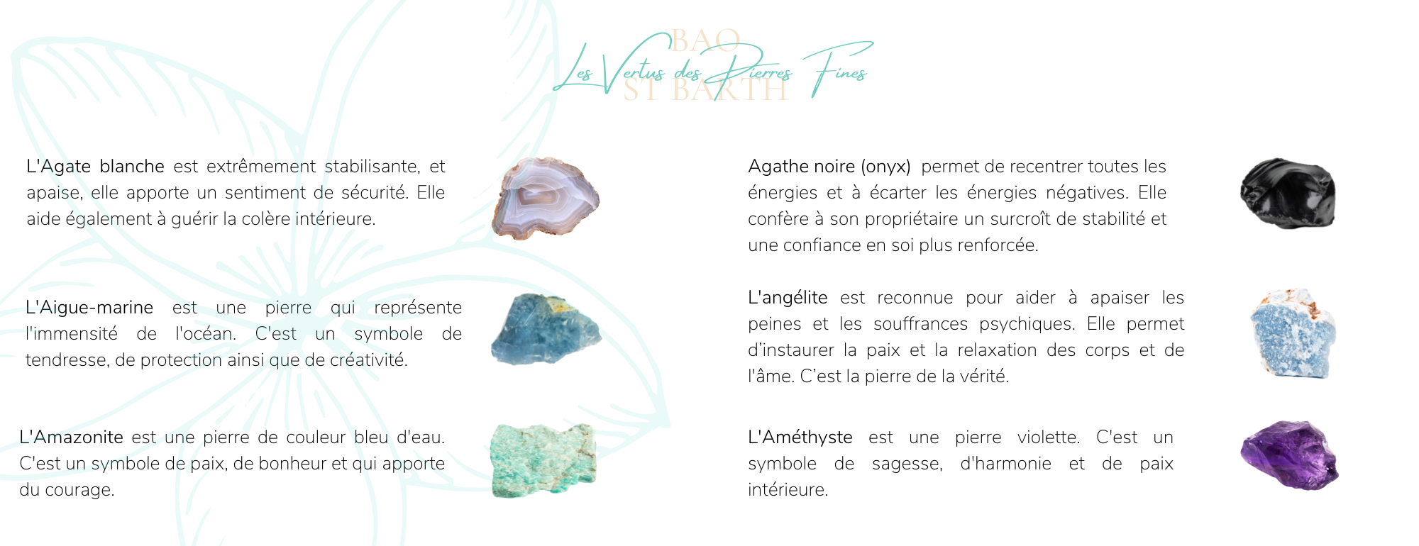 page 1 vertus
