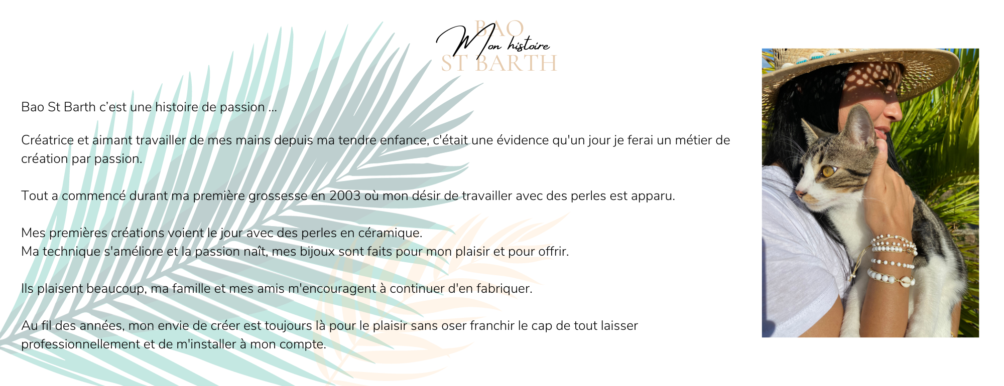 page 1 histoire bao