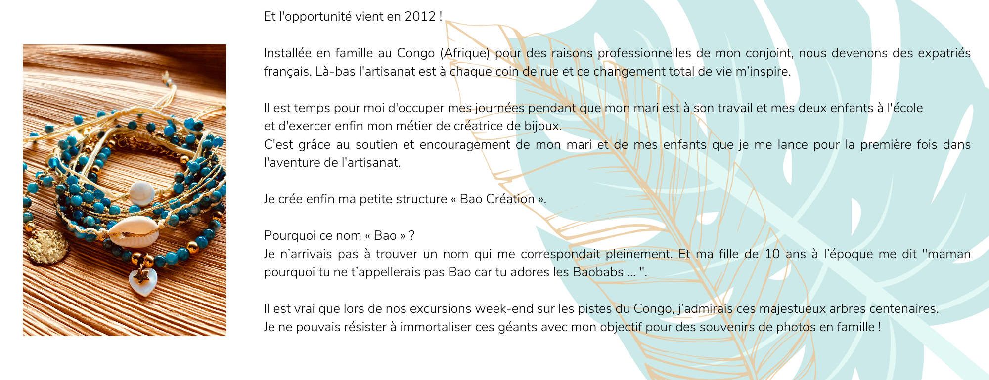 page 2 histoire bao