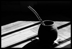 490447644_a6306ce86a