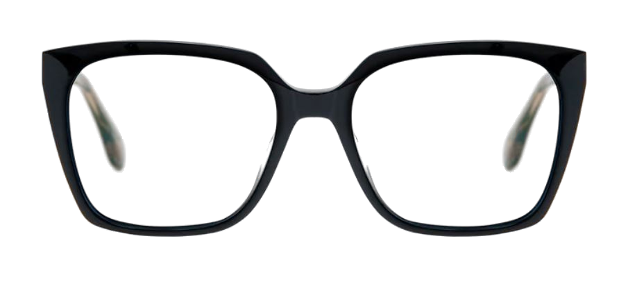 9029 noir_clipped_rev_1
