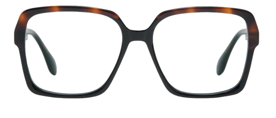 1101_clipped_rev_1