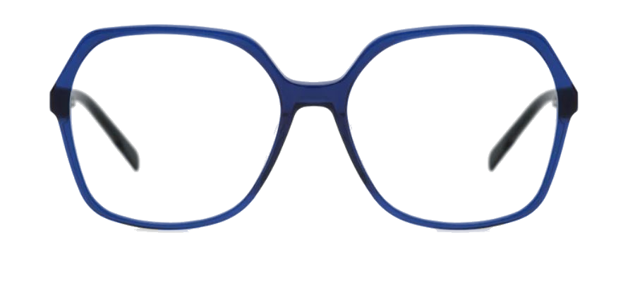 8064 bleu_clipped_rev_1