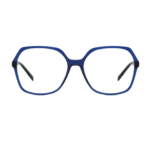 8064 bleu_clipped_rev_1