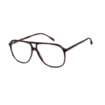 8066._clipped_rev_1