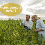 FLEUR OUTDOOR DE HAUTE QUALITÉ (1)