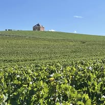 Champagne Benoît Cocteaux, l'autre visage du Sézannais