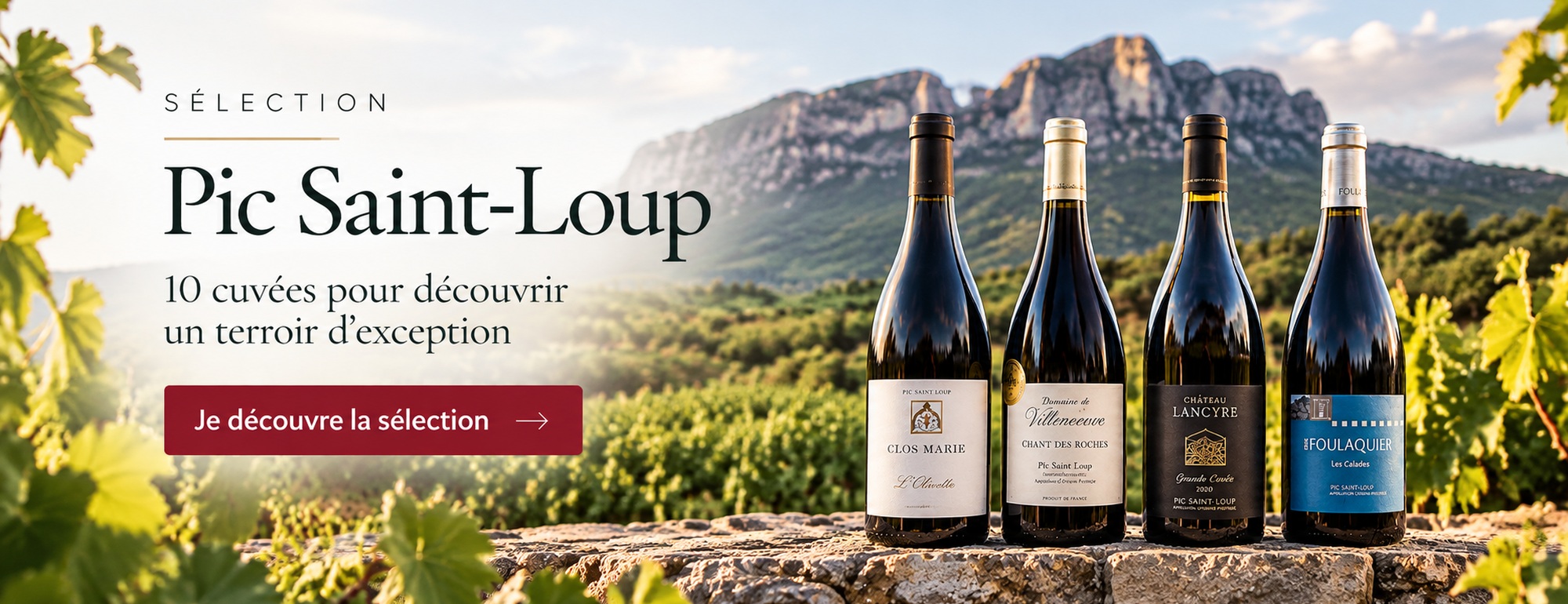 Pic Saint-Loup ou Terrasses du Larzac : quelles différences ?