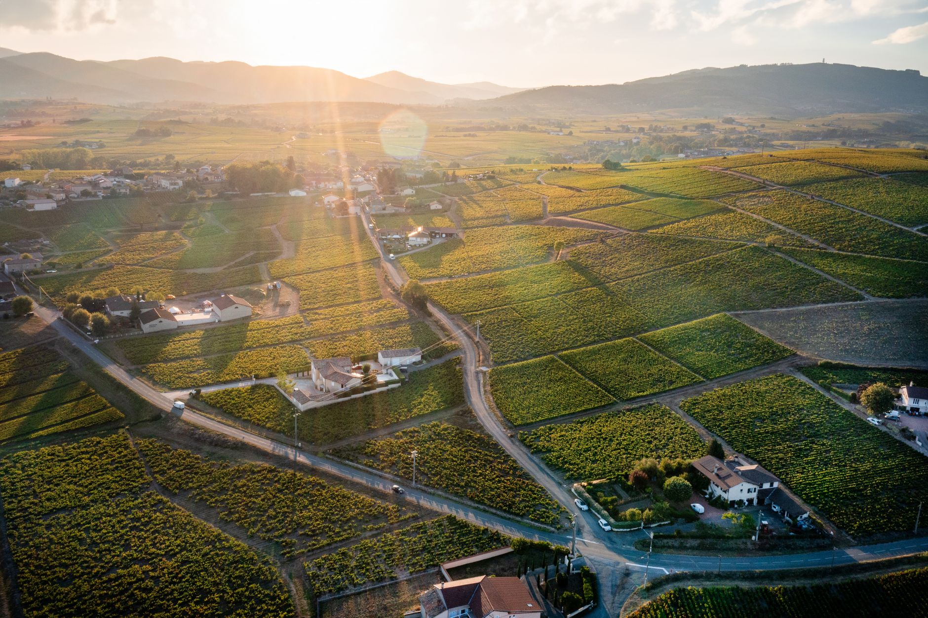 Beaujolais : le grand guide des 10 crus, terroirs et vins