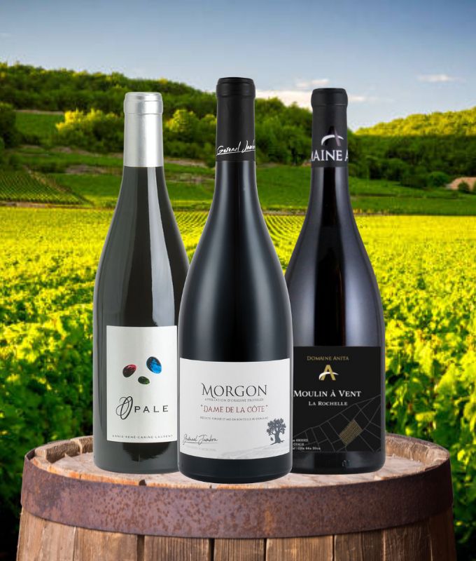 COFFRET BEAUJOLAIS