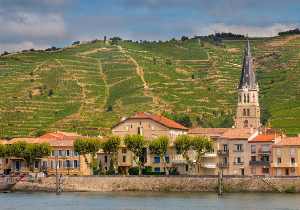 Guigal, l’histoire d’une famille qui a changé le destin des grands vins du Rhône