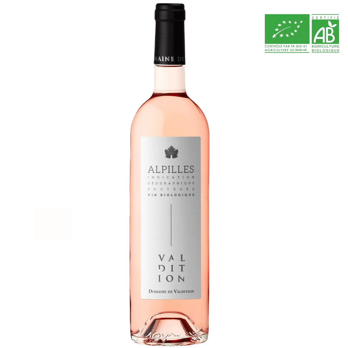 ALPILLE rose