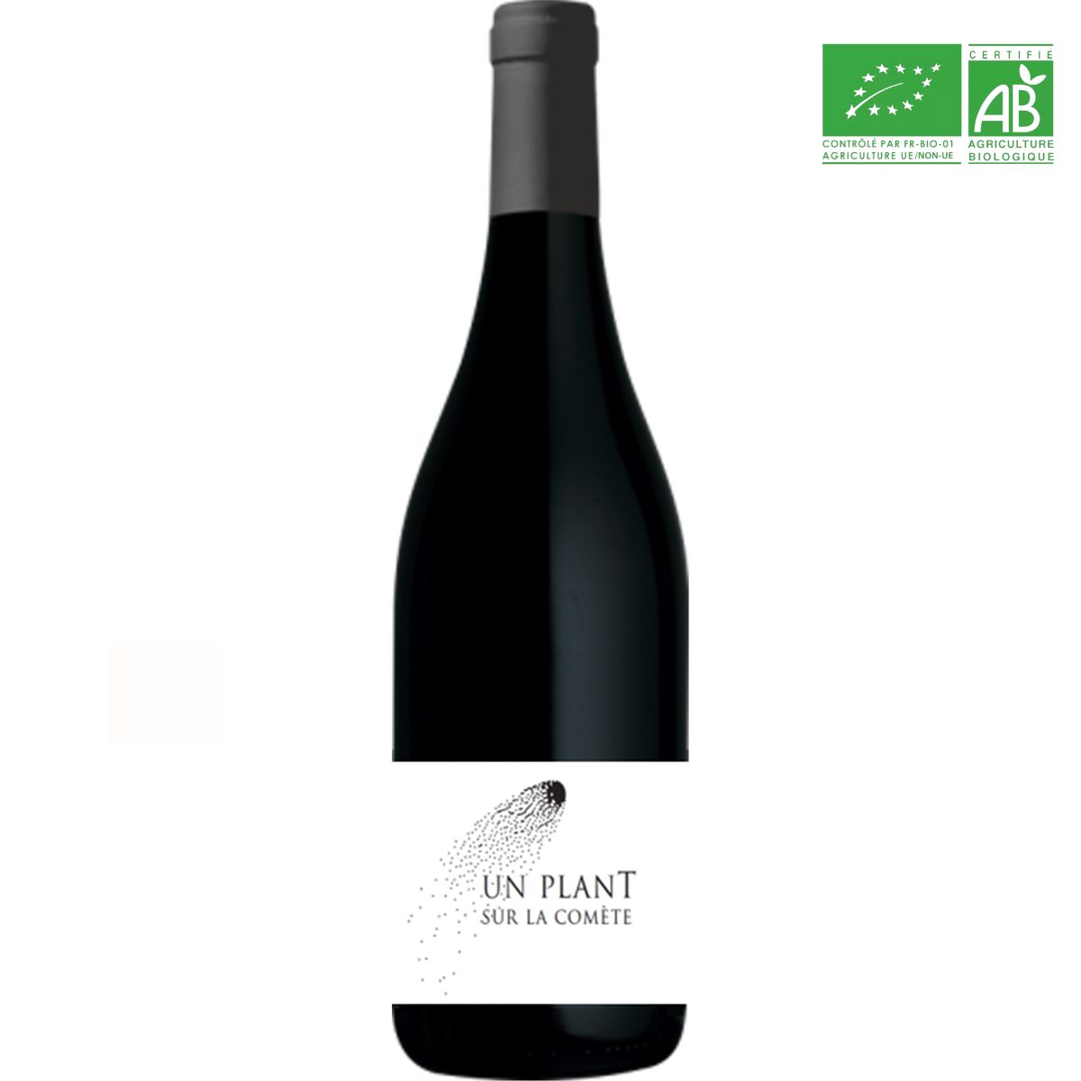 Plant sur la comète
