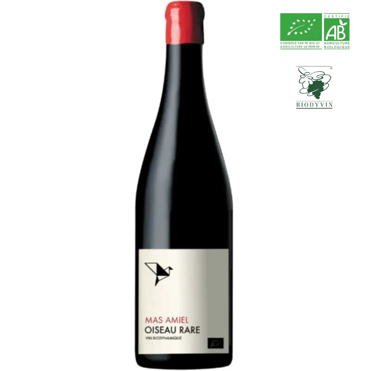 MAS amiel oiseau rare