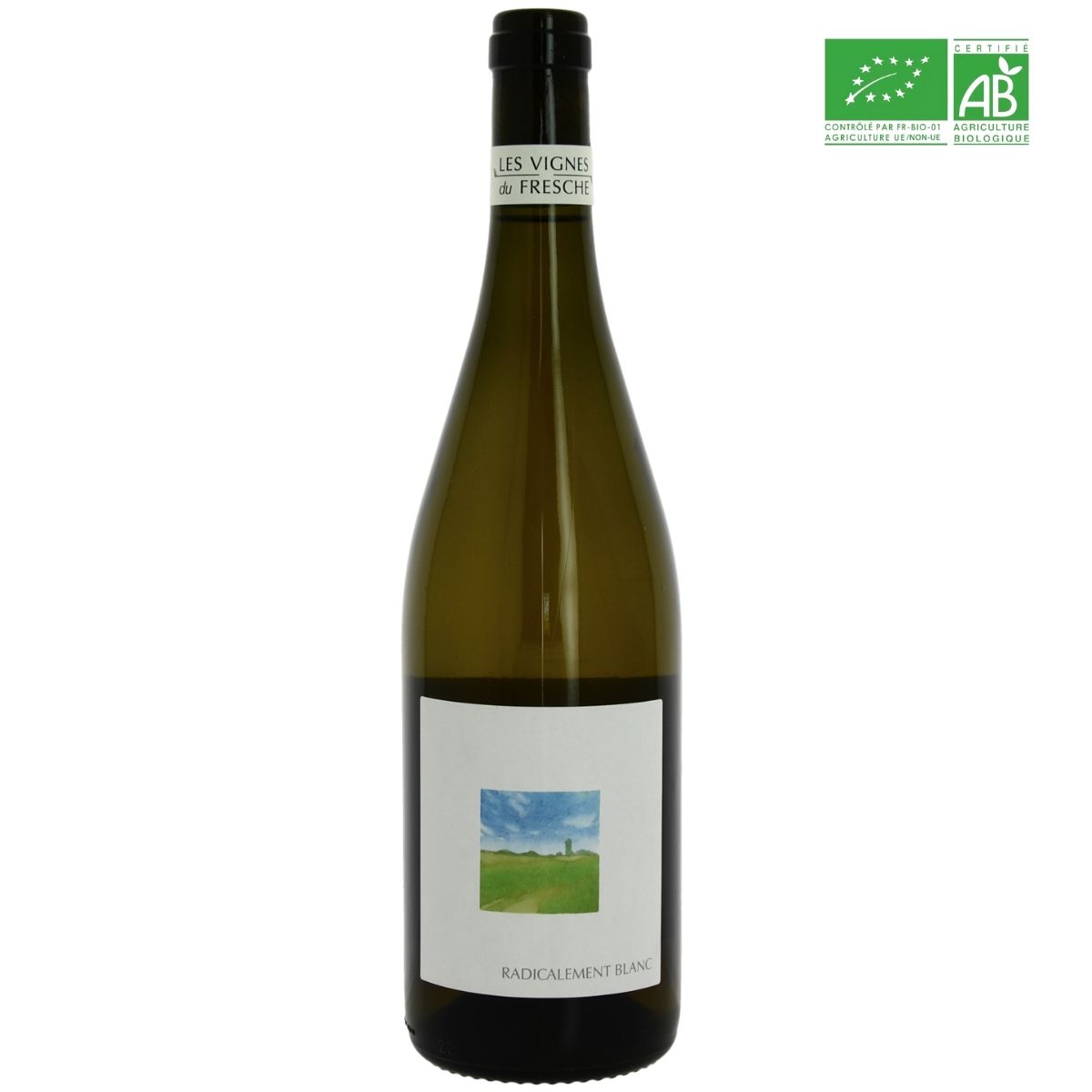 Vignes du fresche radicalement blanc