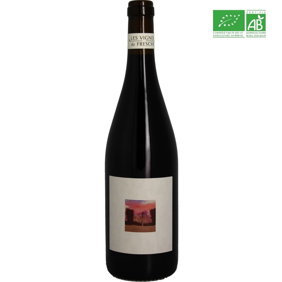 Vignes du fresche radicalement rouge