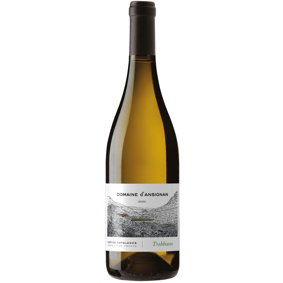 Trebbiano ansignan