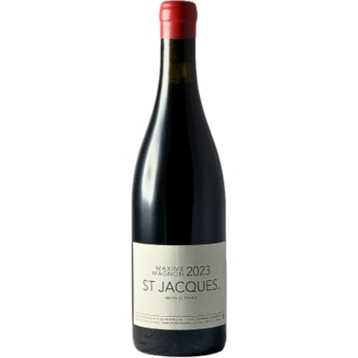 Saint jacques magnon