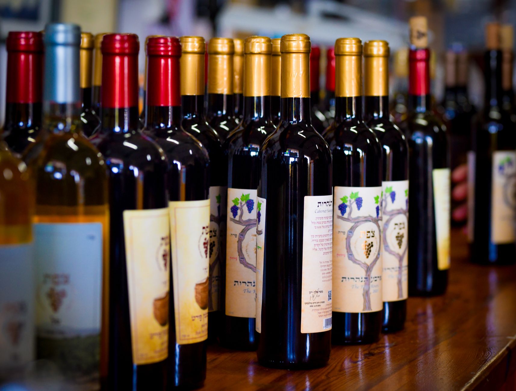 gros plan sur des bouteilles de vin assorties en exposition dans une cave vinicole presentant diverses etiquettes et couleurs