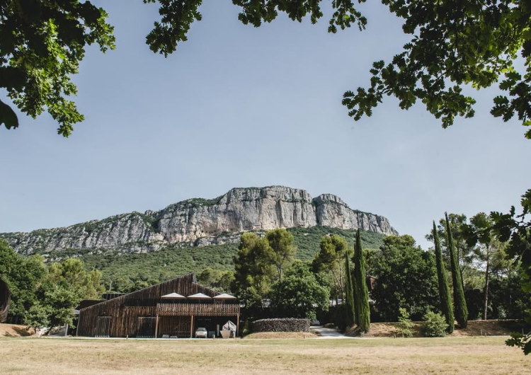 Le vignoble et les reliefs de l'Hortus