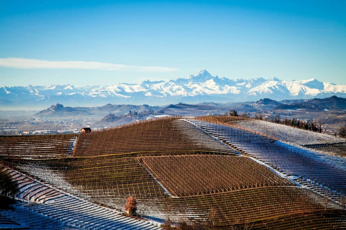 Vignoble de Barolo dans le Piémont italien, terroir du nebbiolo