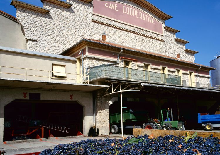 Une cave coopérative française