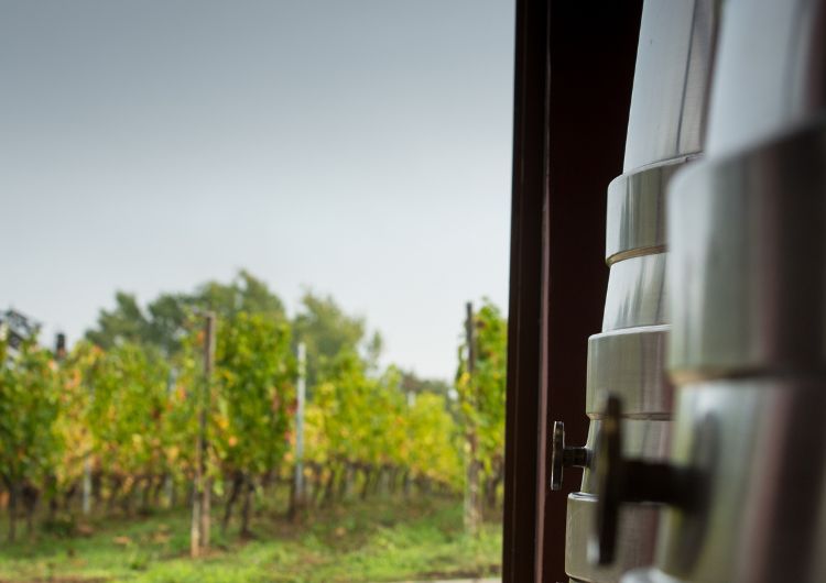 La cave coopérative et son vignoble