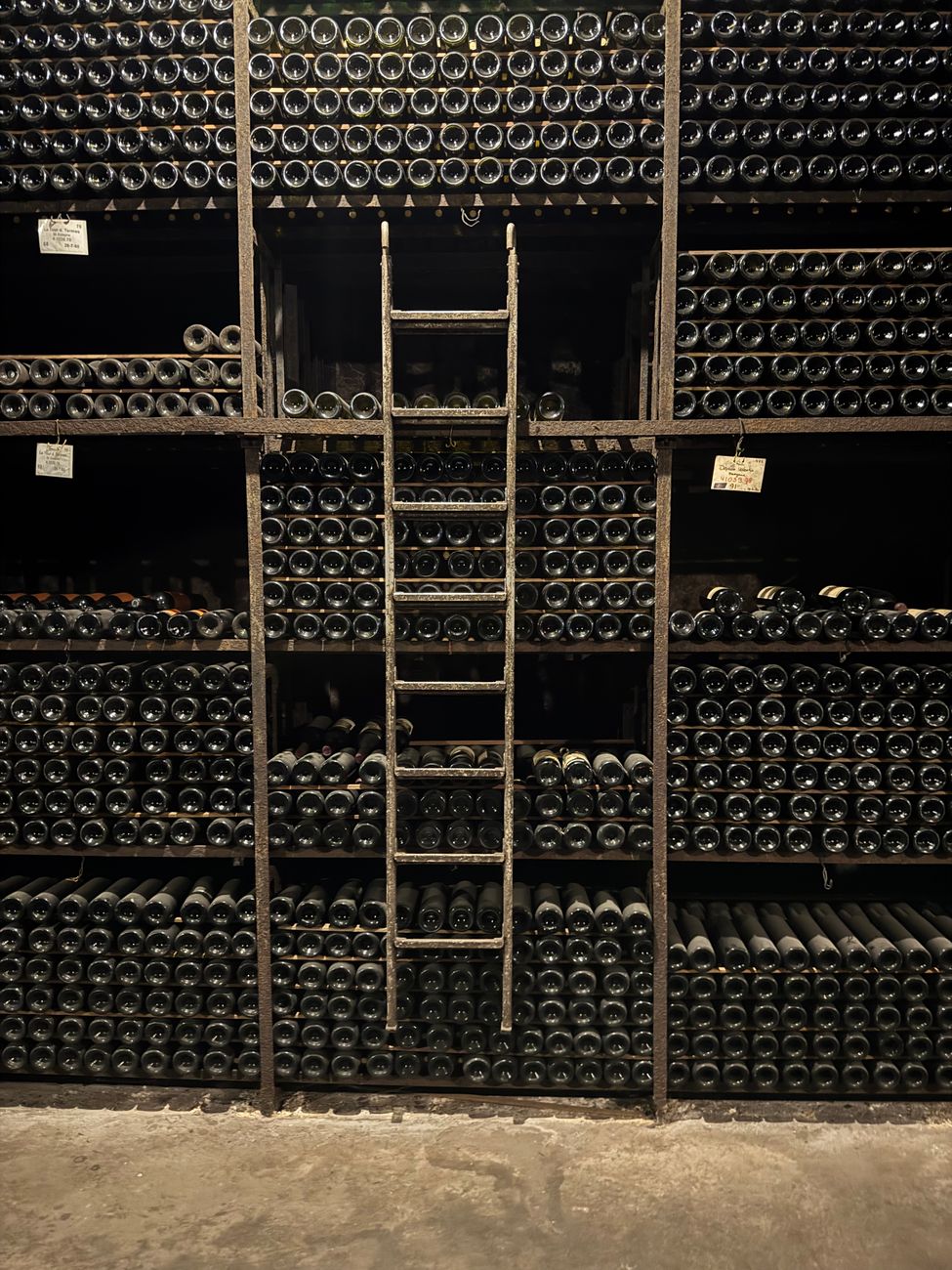une cave a vin rustique remplie de bouteilles de vin vintage accessible par une vieille echelle