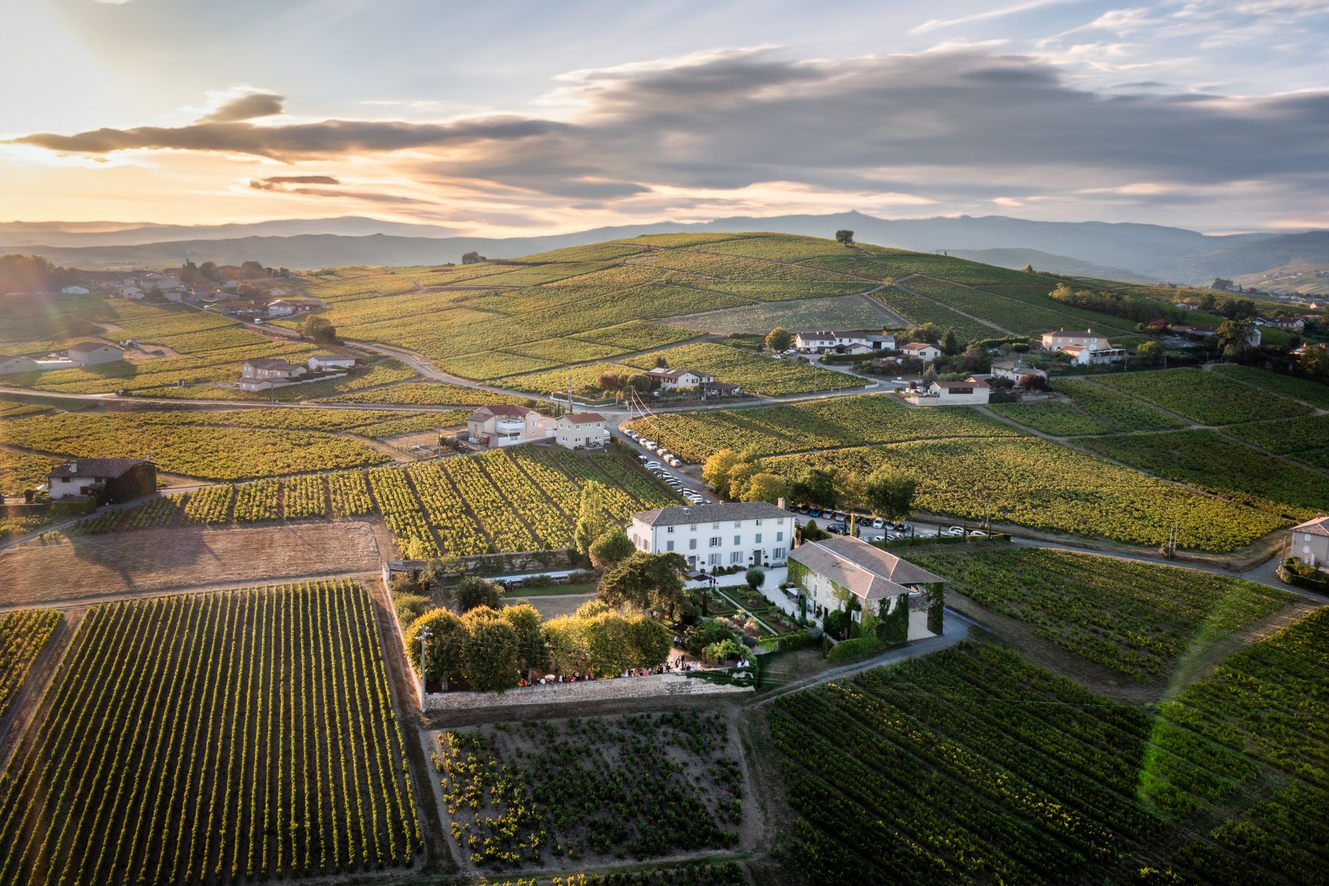 belle vue aerienne des vignobles a villie morgon au coucher du soleil mettant en valeur les paysages ruraux