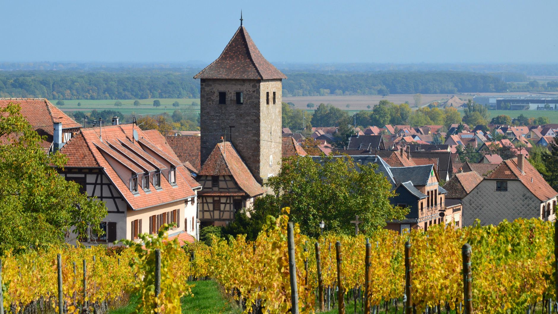 Le choix d'une cuvée mérite de prendre son temps.