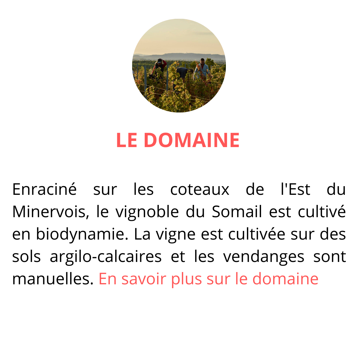 domaine du somail vin de plume