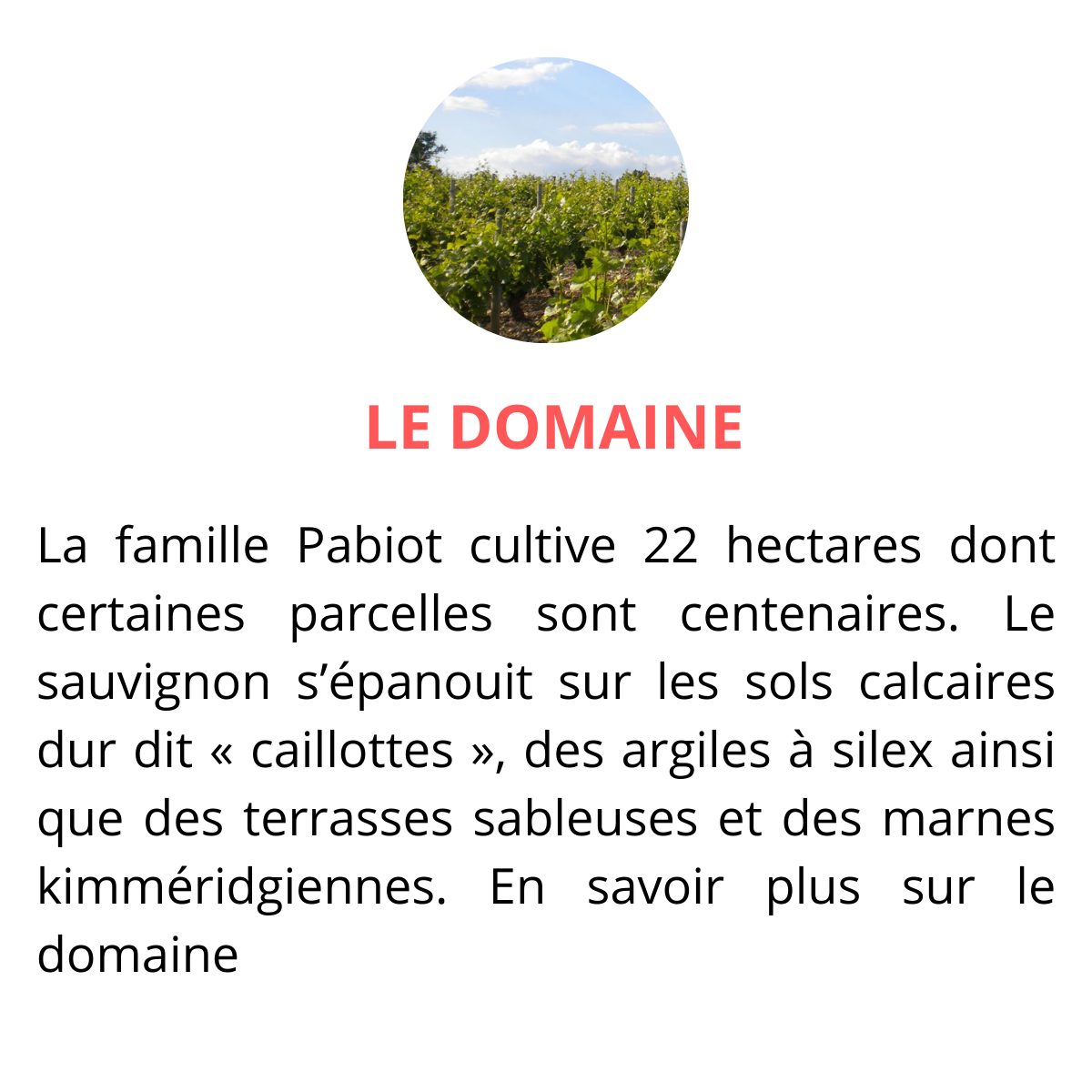 domaine roger pabiot