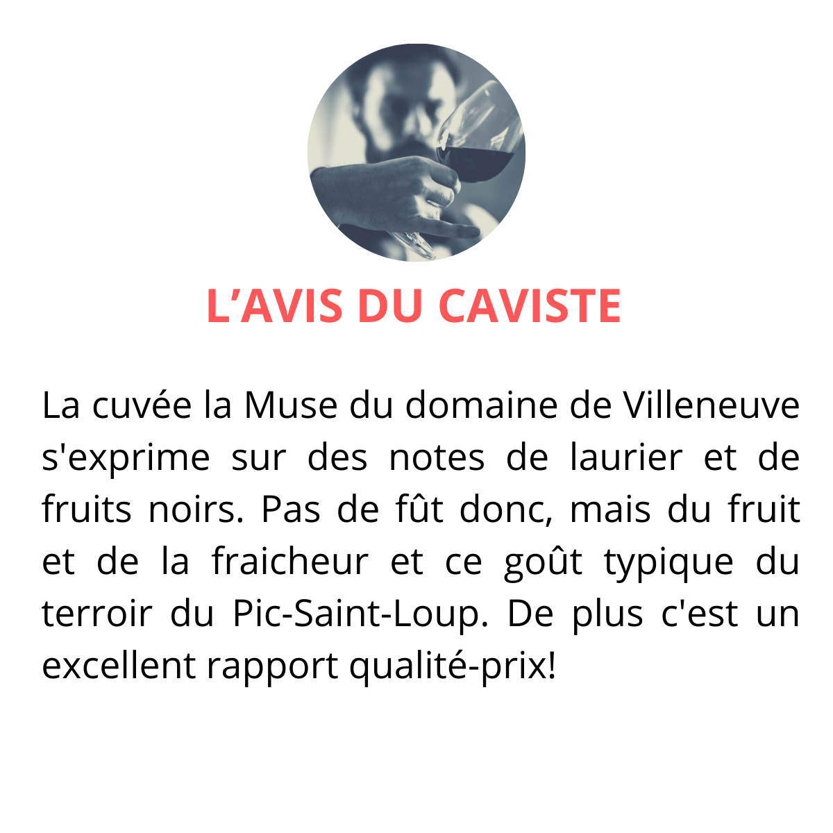 la muse domaine de villeneuve pic saint loup