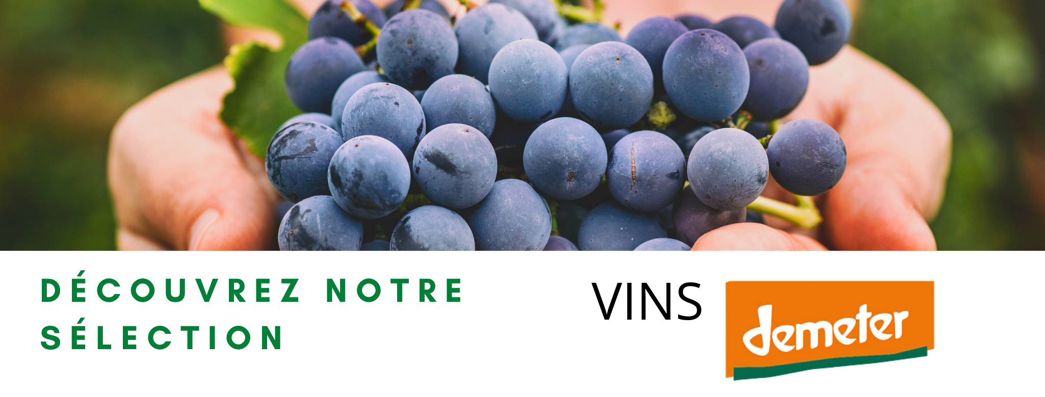 vins demeter